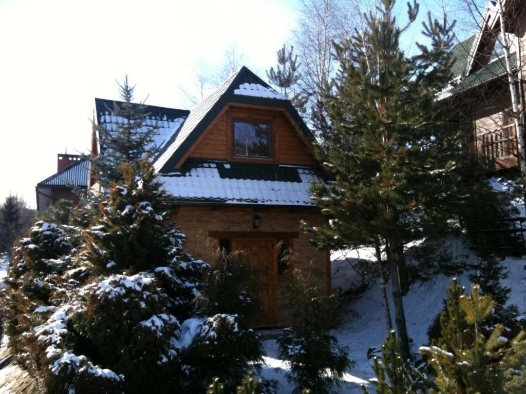 Domek w Krynicy z sauną - zdjęcie 1